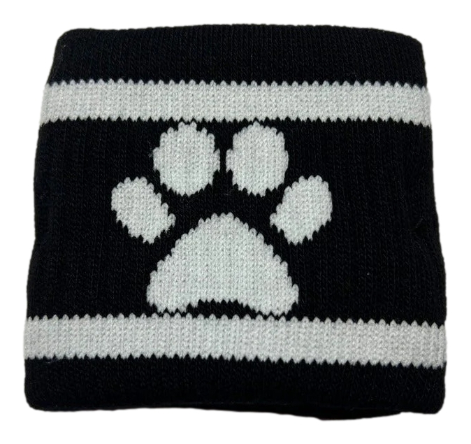 Bandeau de poignet DOG PAW Sker8boy