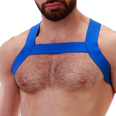 Barcode Berlin Harnais élastique MATT Bleu