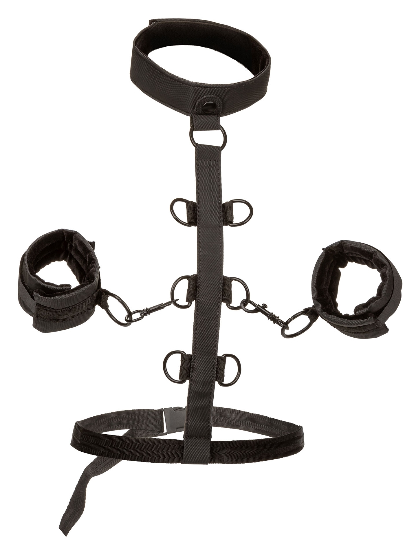Boundless Calexotics Attaches Sm COLLAR BODY RESTRAINT Boundless
