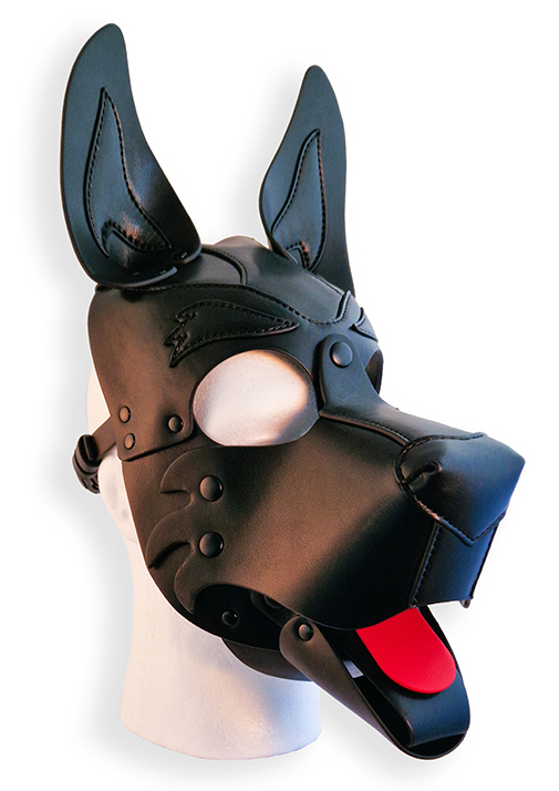 Brutus Cagoule PUPPY HOOD Noire