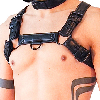 Brutus Harnais PUPPY HARNESS Noir