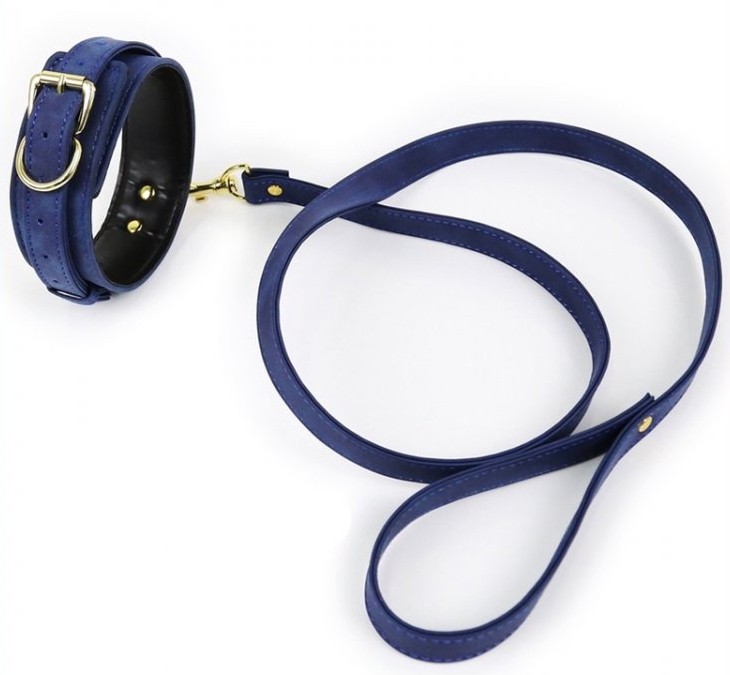 Collier Laisse LIGHTY Bleu