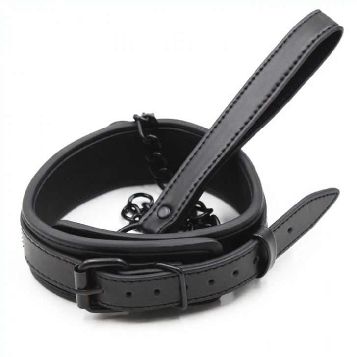 Collier Sm et Laisse noir