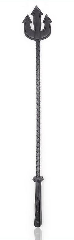 Cravache TRIDENT 65cm Noire