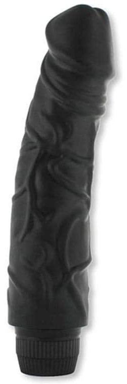 Dildo Vibrant Perfect Pleasure 18 x 4.8 cm Noir