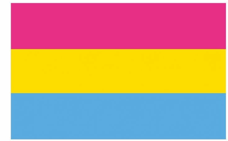 Drapeau PANSEXUEL 90 x 150cm