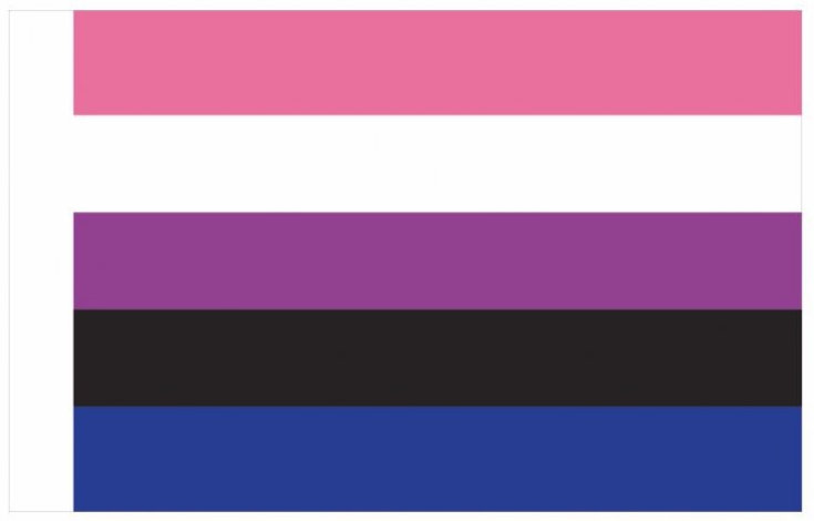 Generique Drapeau GENDERFLUID 60 x 90cm