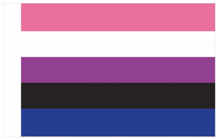 Generique Drapeau GENDERFLUID 90 x 150cm