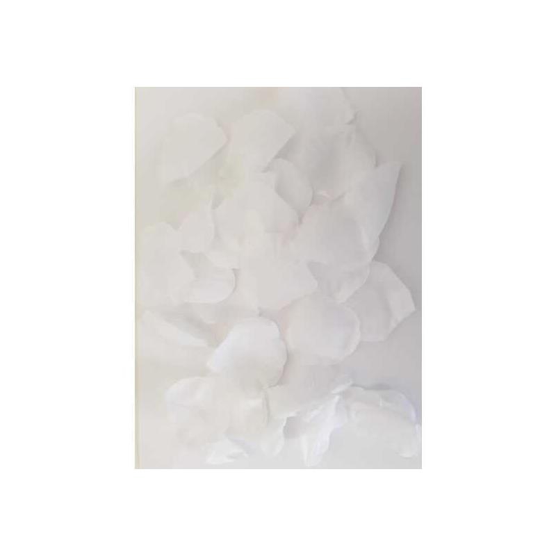 Generique Fausses Pétales de Fleurs x100 Blanc