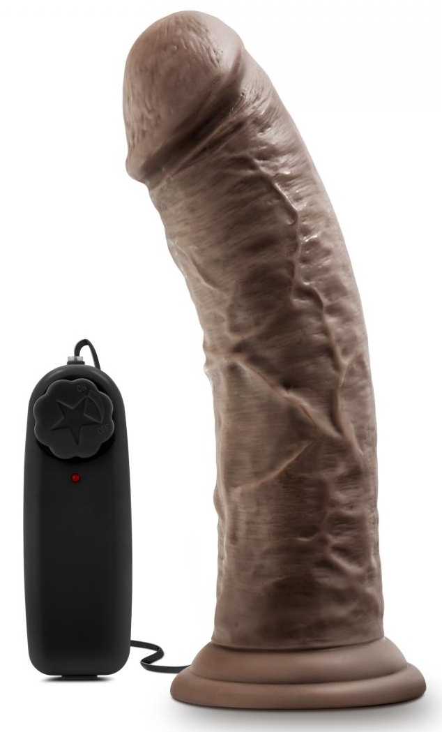 Gode vibrant DR JOE Dr Skin 19 x 4.7cm Marron