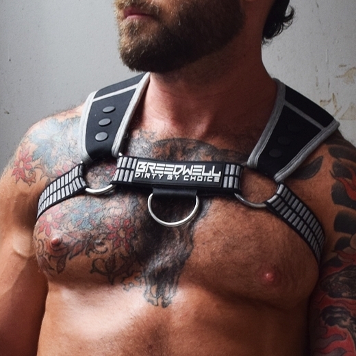 Harnais INTIMIDATOR Breedwell Noir-Gris
