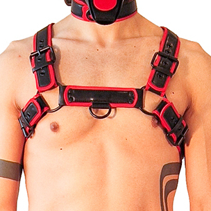 Harnais PUPPY HARNESS Noir-Rouge