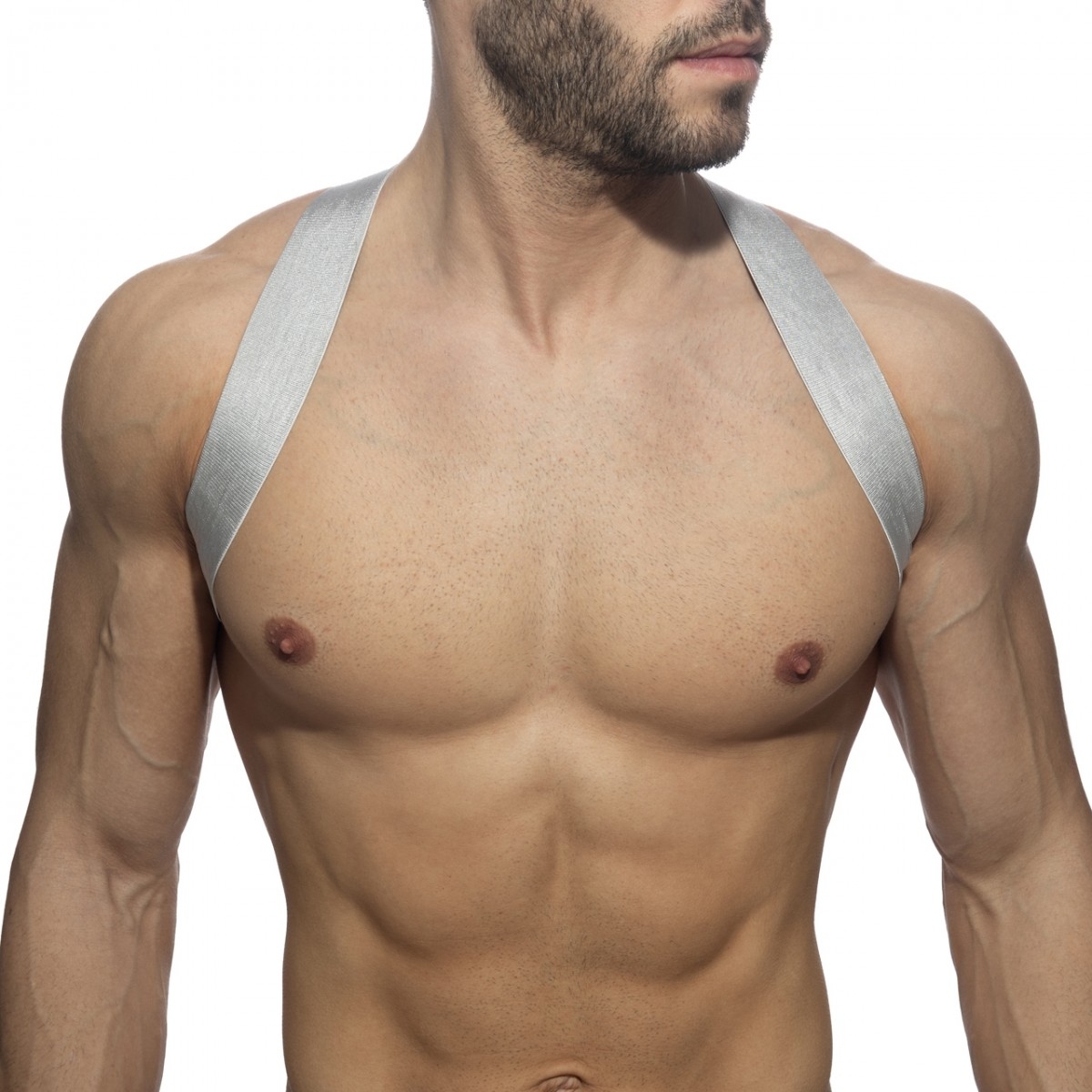 Harnais SILVER HARNESS Argenté