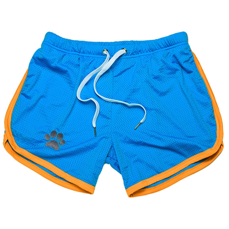 Kinky Puppy Short PAW Bleu-Jaune