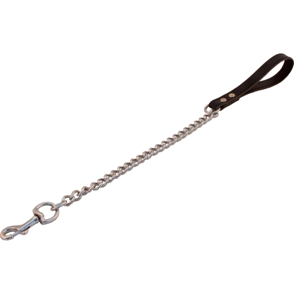 Laisse DOG avec Chaîne 45cm