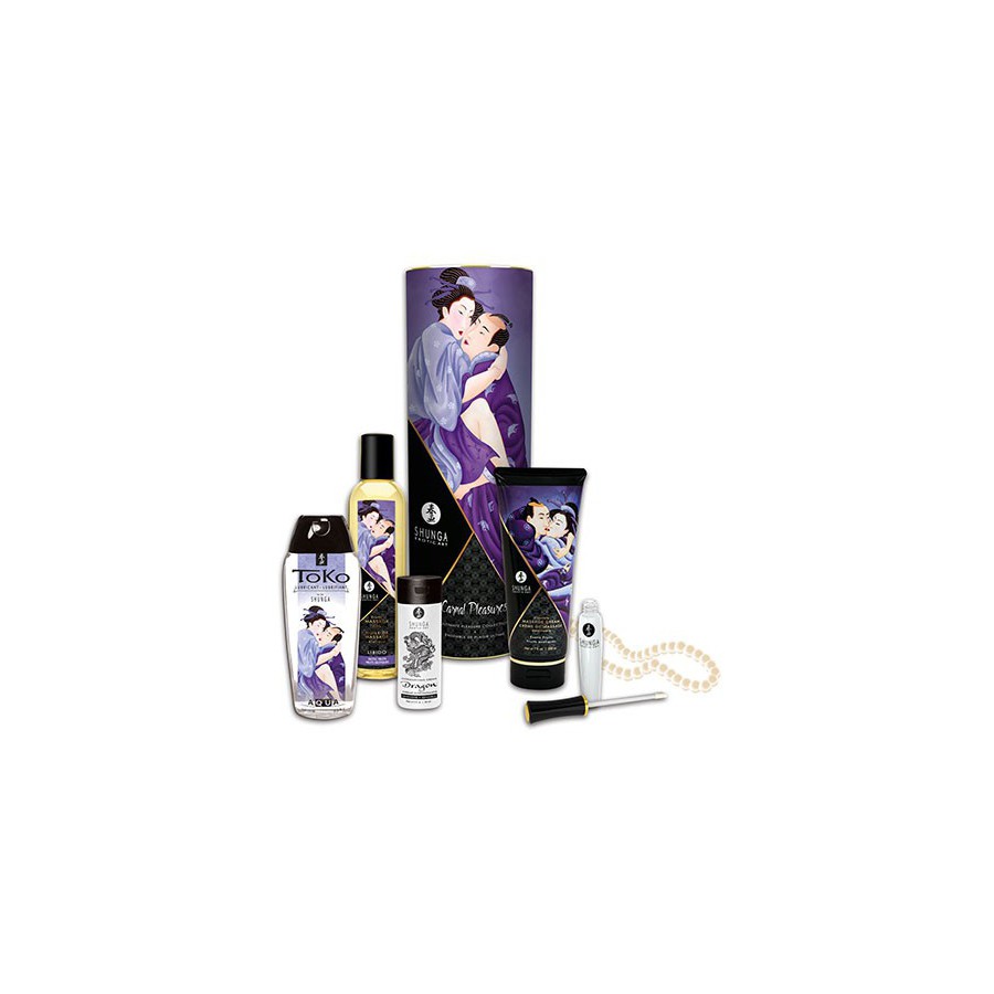 Shunga - Kit De Collection Plaisirs Charnels