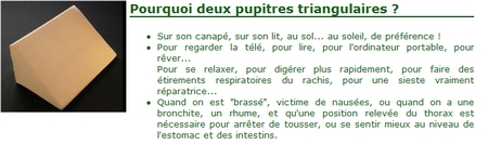 Coussins triangulaires