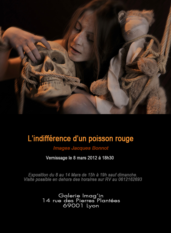 Exposition de Jacques Bonnot à Lyon
