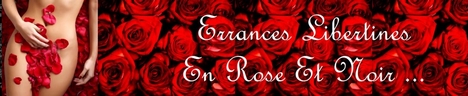 Errances libertines : un couple, un blog (interview)