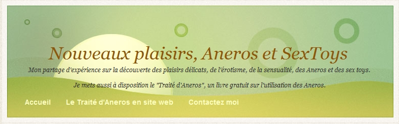 Nouveaux plaisirs, Aneros et SexToys : interview !
