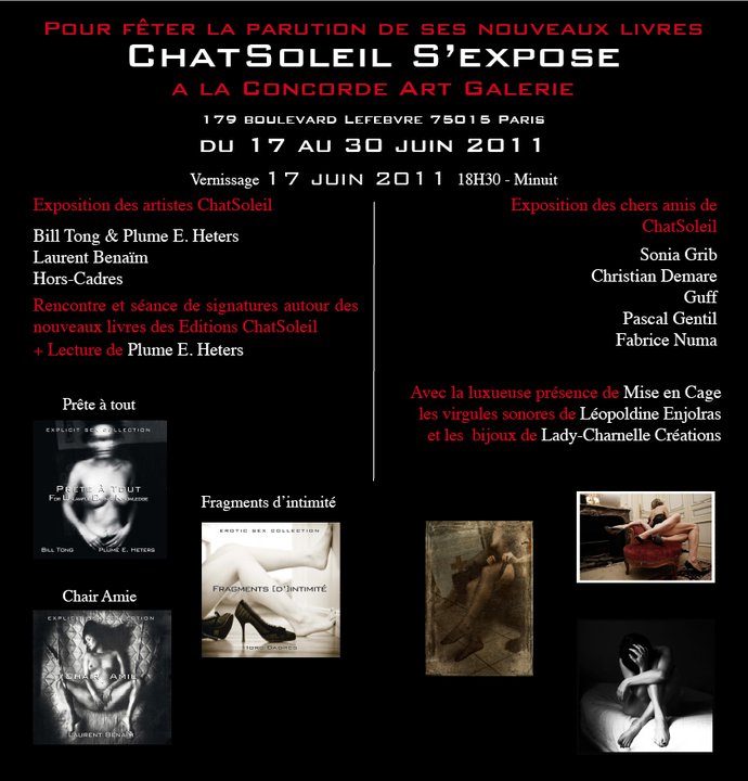 ChatSoleil publie et s'expose