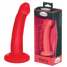 Dildo Robbie ventouse /Harnais 13,5x3,2 cm
